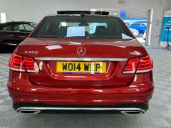 MERCEDES E-CLASS E250 CDI AMG SPORT + PANORAMIC ROOF + HYACINTH RED + 19 INCH ALLOYS +  - 2398 - 9