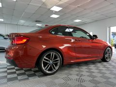 BMW 2 SERIES 218D M SPORT + IMMACULATE + FINANCE ARRANGED + 1 OWNER - 2375 - 11